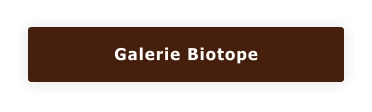 Galerie Biotope