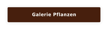 Galerie Pflanzen