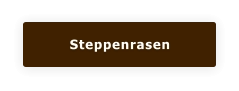 Steppenrasen