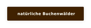 natürliche Buchenwälder