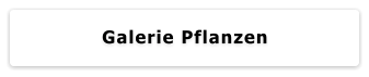 Galerie Pflanzen