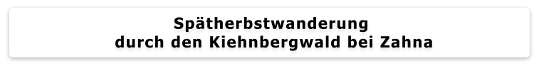 Spätherbstwanderung  durch den Kiehnbergwald bei Zahna