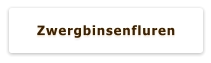 Zwergbinsenfluren