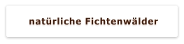 natürliche Fichtenwälder