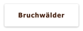 Bruchwälder