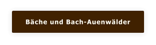 Bäche und Bach-Auenwälder