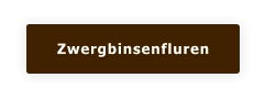 Zwergbinsenfluren