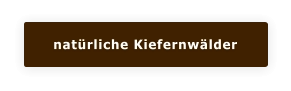 natürliche Kiefernwälder